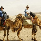 Into the Desert  On the way to a night out in the desert on our well-tempered camels